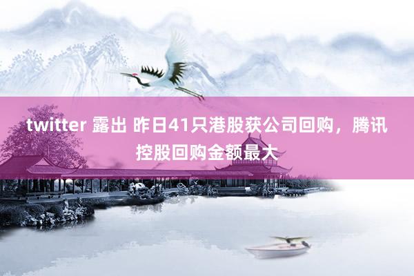 twitter 露出 昨日41只港股获公司回购，腾讯控股回购金额最大